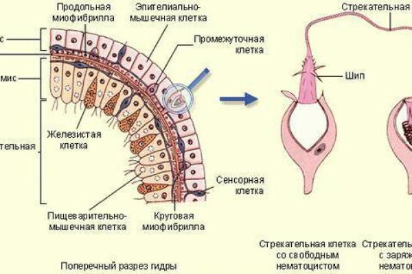 Кракен магазин kraken014 com