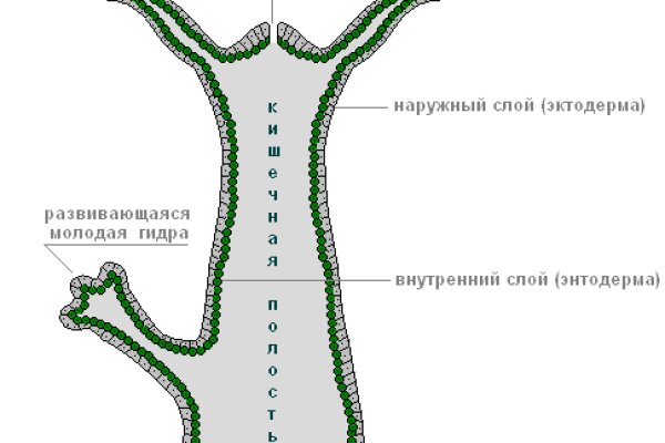 Зайти на кракен без тора